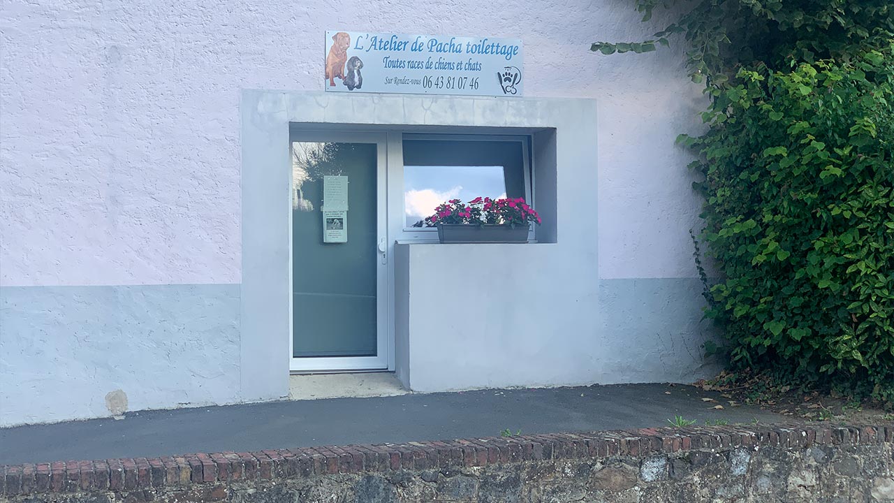 Salon de toilettage canin "L'atelier de pacha" à Villers-Sire-Nicole